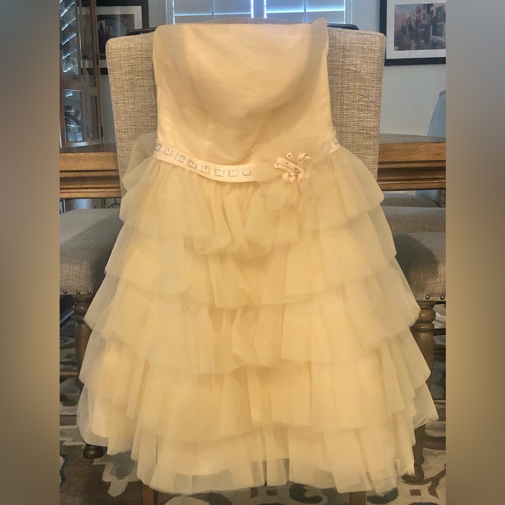 Strapless tiered Tulle Princess length Prom dress